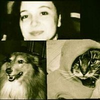 Nilhan Çelikman (@nilhanclkmn) 's Twitter Profile