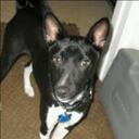 Tim Belk - @timbelk - Twitter