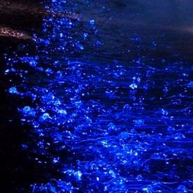 patybphf's profile picture. Love to know different cultures, music (especially rock and pop, in that order). I may be shy, but I can also be a very good friend.