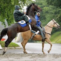 Tom Albertrani (@taracingllc) 's Twitter Profile