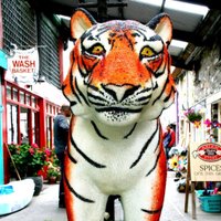 I Love Clonakilty (@iloveclonakilty) 's Twitter Profile