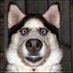 The World Of Funny (@theworldoffunny) Twitter profile photo The World Of Funny (@theworldoffunny) Twitter profile photo