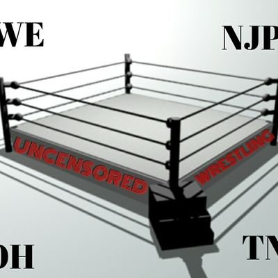 News updates, spoilers, photo's video's, memes opinions and everything else we have it all covered
Attended 8 Wrestlemania's