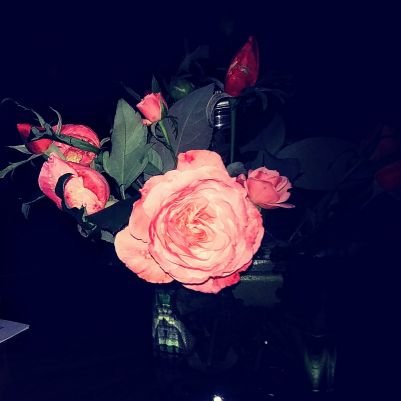 freetodream888's profile picture. 