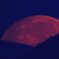 東京電機大学 理工学部 天文部 (@tduastronomy) 's Twitter Profile