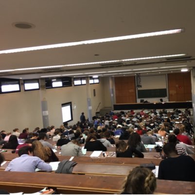 Vice-Presidente Europe Professeur de droit public-U-Paris1: L'Europe, toujours l'Europe!!