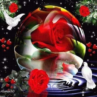 bidamusbgmailc1's profile picture. 