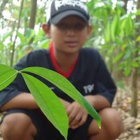 M.tyaz Saputra (@mtyazsaputra2) 's Twitter Profile