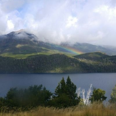 nestore77's profile picture. 