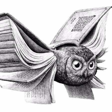 Researcher Services Librarian @ NHM. He/him/they. Violas. Owls Hive Social: @mercuryowl IG: mercuryowlknitting