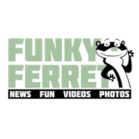 Funky Ferret TV(@Funky_Ferret_) 's Twitter Profile Photo