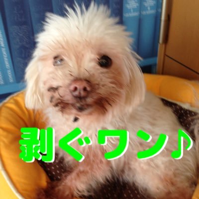 ヱジキ(まめま)さんのプロフィール画像