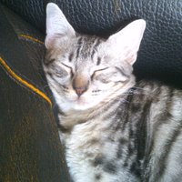 Norbert (@norbert) 's Twitter Profile
