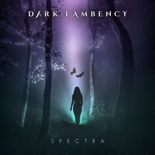 The music of Dark Lambency is related to metal or more precisely to melodic/symphonic metal and is build up with 4 musicians. Marcel, Jean, Jacky and Luca.