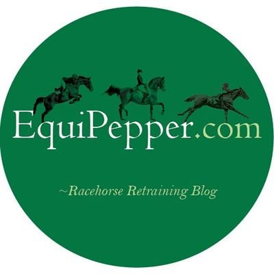 🏅Award Winning Equine Blogger
🐎 Thrills & spills of life with an ex racehorse
🐴 Everything you need for a life with horses
⭐ Product reviews 
📖 Author