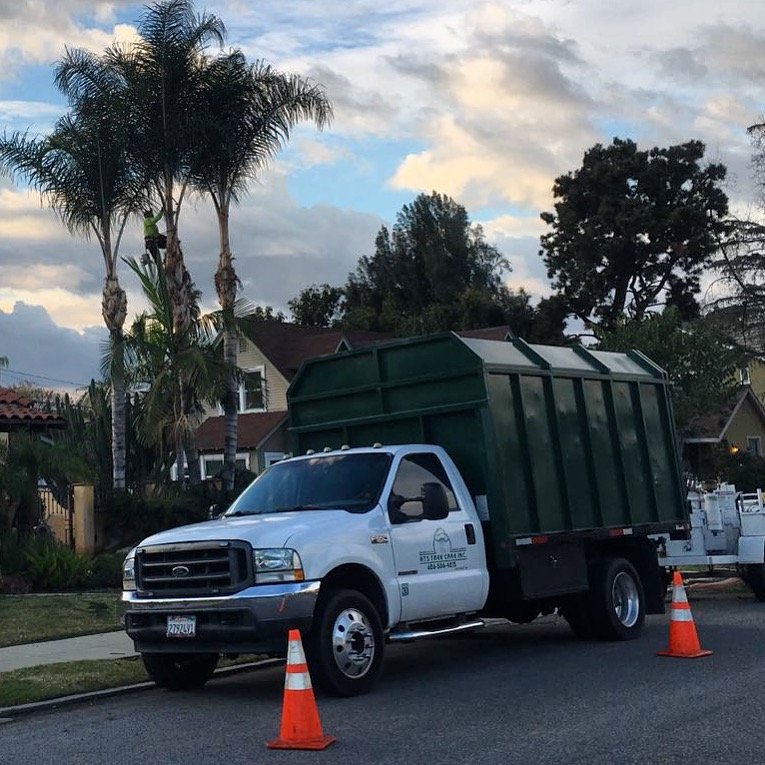 AtsTreecare's profile picture. PROVIDING QUALITY TREE TRIMMING AND TREE CARE NO JOB IS TOO SMALLOR TOO BIG. LA COUNTY SAN GABRIEL VALLEY AND I.E. SCHEDULE YOUR FREE ESTIMATE 626-586-4215