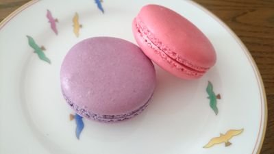 yf_bw's profile picture. いつも眠いカッパOG