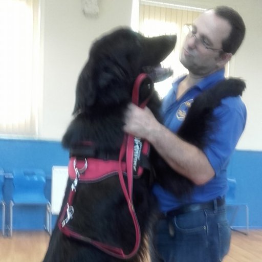 Professional Dog Trainer working throughout Midlands and South Staffs using only reward based, force free methods that are fun for both dog and handler.