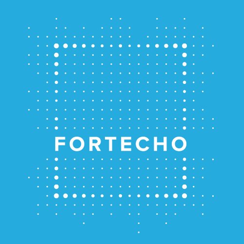 Fortecho Art Protection