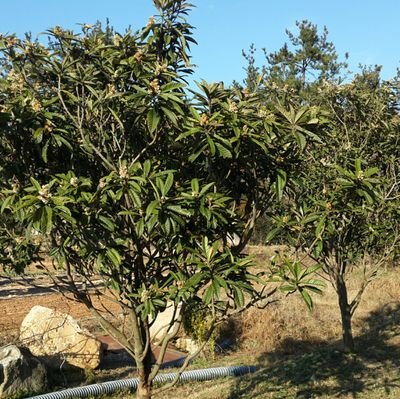 wayview's profile picture. 눈앞에 펼쳐지는 길 풍경이 좋아요