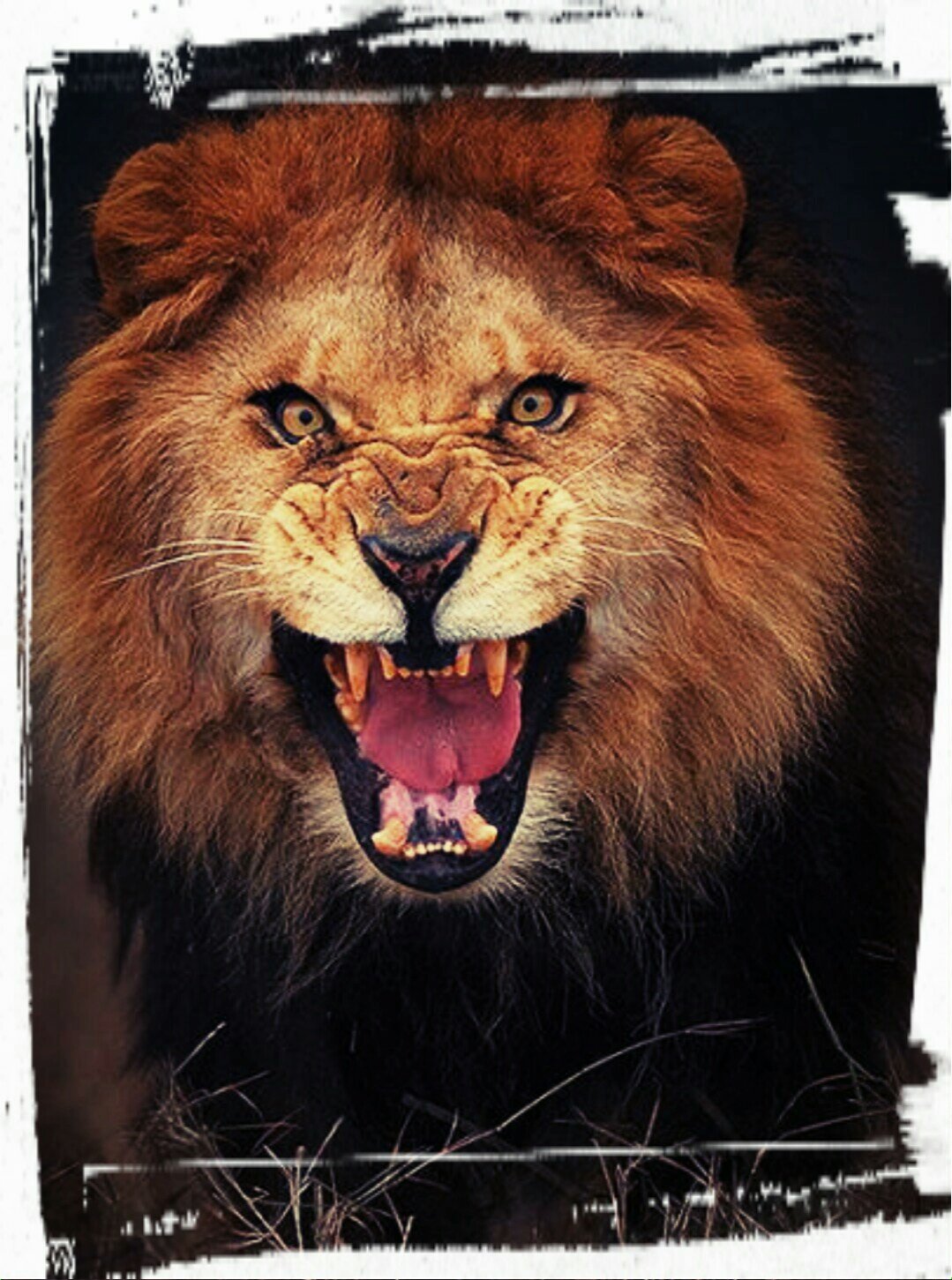Judas3rd's profile picture. 