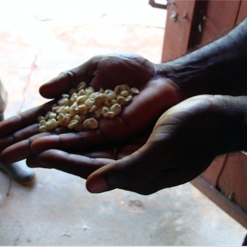 Tufts faculty-led Food Aid Quality Review Project provides @USAIDSavesLives with actionable recommendations on ways food aid can make a significant impact.