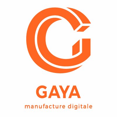 agencegaya's profile picture. GAYA accompagne ses clients au travers d’expertises ciblées : #Digital #Conseil #Stratégie #Webmarketing  #SEO #Technologies