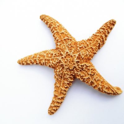 starfish health and wellbeing is part of the Starfish Group delivering mental health services across the UK.