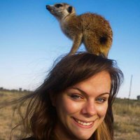 Sally Bornbusch (@sciencegalsal) 's Twitter Profile