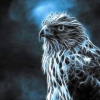 nbras (@nbrrras) 's Twitter Profile