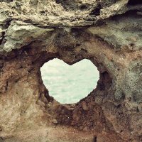 One Love (@onelove16368057) 's Twitter Profile