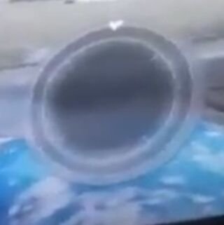 ForeverLnT's profile picture. 