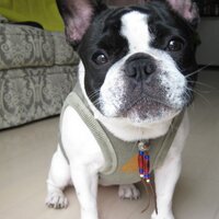 おつ (@karubikupa) 's Twitter Profile Photo