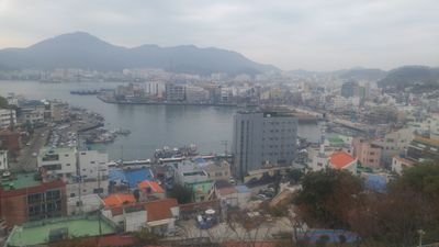 najamesypp's profile picture. 술 땡기는 요즘. .