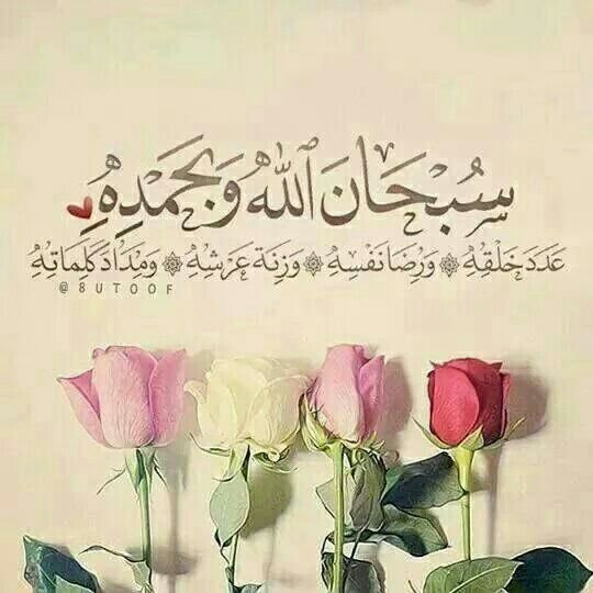 hamos_14's profile picture. اجعل إلـٰهي خيرَ عمُري آخرَه،،، #استغفرالله_العظيم