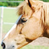 Paul Mills (@ashbyeconomics) 's Twitter Profile Photo