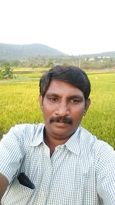 mohanraj_k2408's profile picture. South Indian