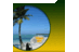 Vibes891's profile image