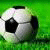 Cycling politico interested in both sports on a grander scale