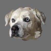 thekIDKalowick (@nateok420) 's Twitter Profile