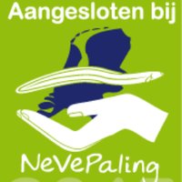nevepaling (@nevepaling) 's Twitter Profile