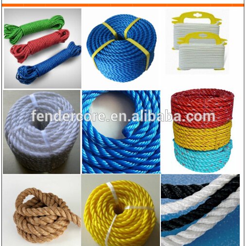 amyinfo94's profile picture. foreign trade sales woman