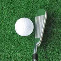 & Turf (@and_turf) 's Twitter Profile