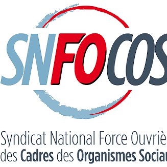 Syndicat National Force Ouvrière des Cadres des Organismes Sociaux