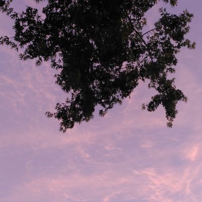 lornak87's profile picture. 