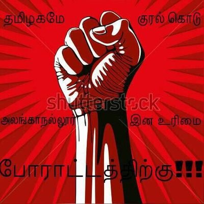 ShivamEgf's profile picture. Process Automation Engineer