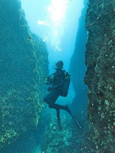 Antoine Minne Profile