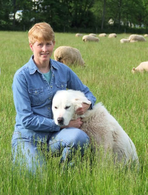 sheepwriter's profile picture. Raise sheep, goats and Great Pyrenees in Pennsylvania; writer for ag press.