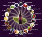 ACAI will change your life by feeling like a new healthy you!