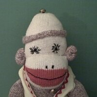 Dancing Bear Toys (@dbeartoys) 's Twitter Profile